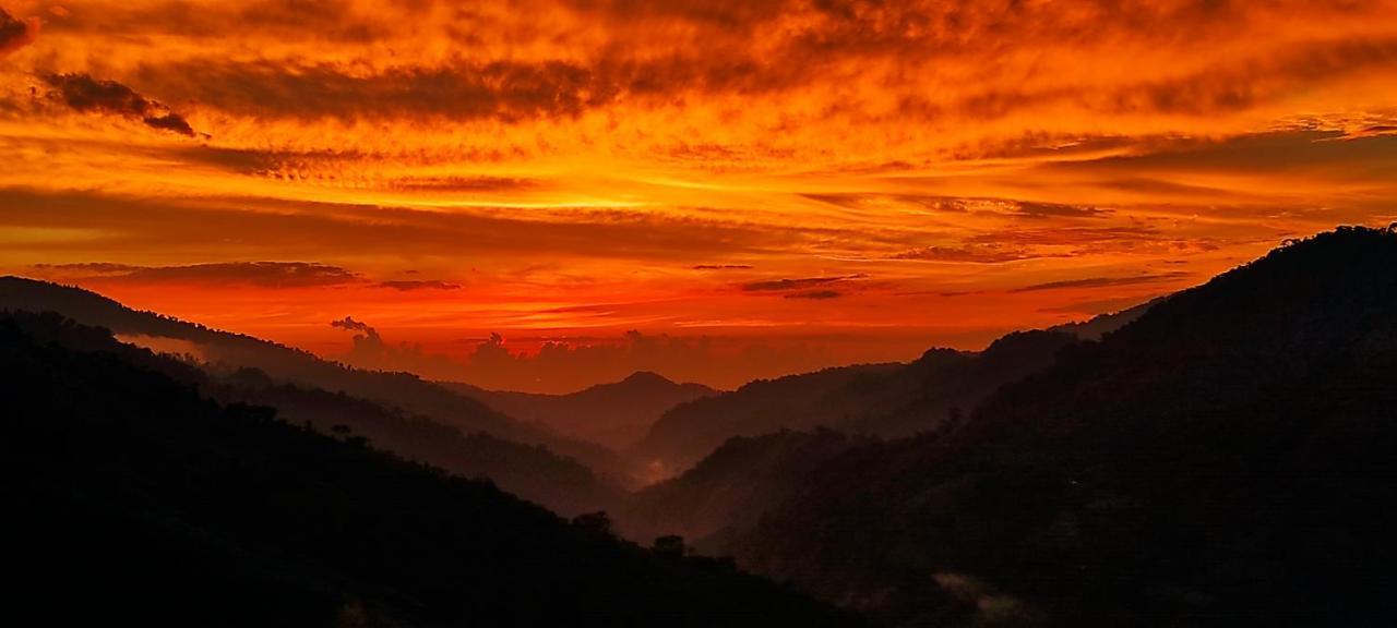 Eya Ecolodge San Isidro De El General Экстерьер фото