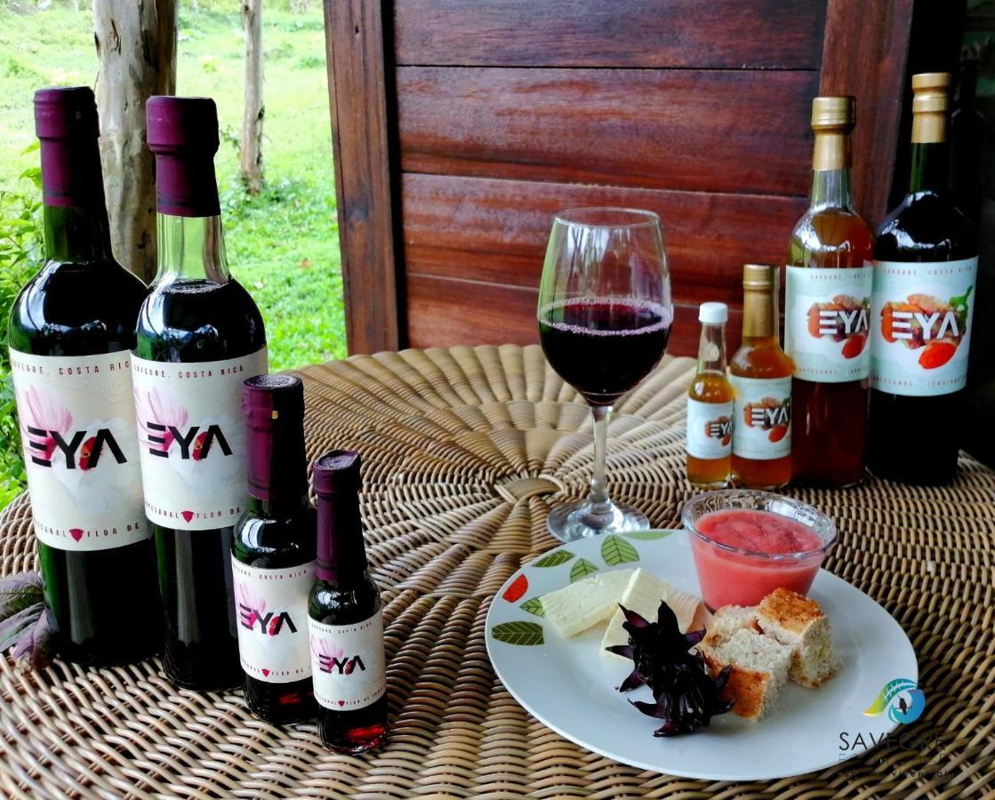 Eya Ecolodge San Isidro De El General Экстерьер фото